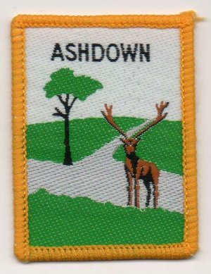 [Ashdown District Badge]