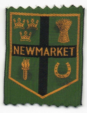 [Newmarket District Badge]