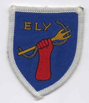 [Ely District Badge]