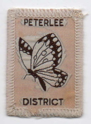 [Peterlee District District Badge]