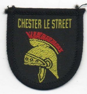 [Chester Le Street District Badge]