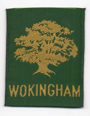 [Wokingham District Badge]