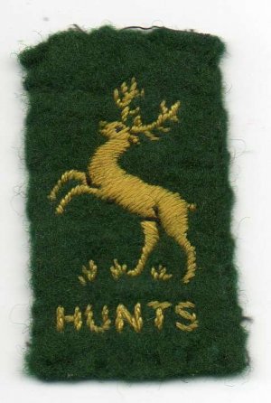 [Hunts (Huntingdonshire) District Badge]