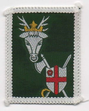 [Kingswood St. George District Badge]