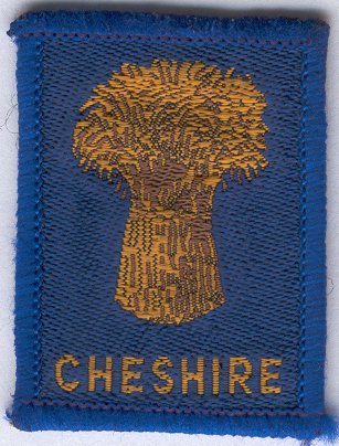 [Cheshire District Badge]