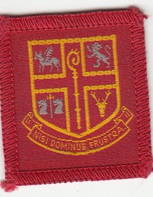 [Chelsea District Badge]