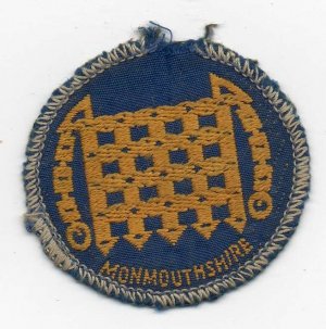[Monmouthshire District Badge]
