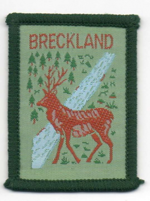 [Breckland District Badge]