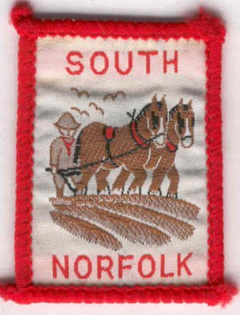 [South Norfolk District Badge]