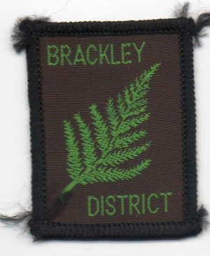[Brackley District District Badge]
