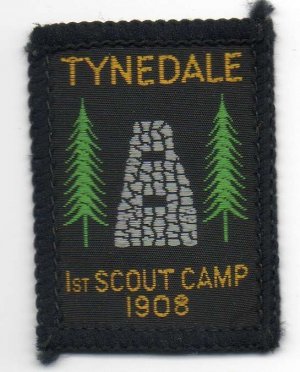 [Tynedale District Badge]