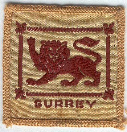 [Surrey District Badge]