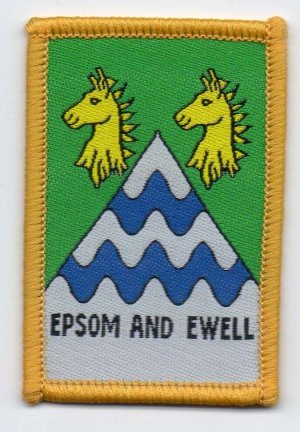 [Epsom And Ewell District Badge]