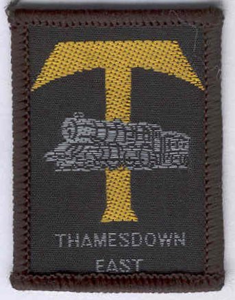[Thamesdown East District Badge]