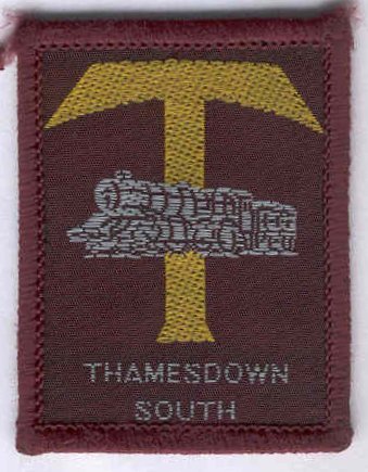 [Thamesdown South District Badge]