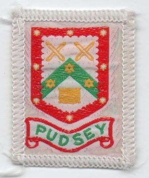 [Pudsey District Badge]