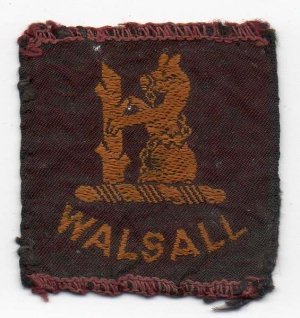 [Walsall District Badge]