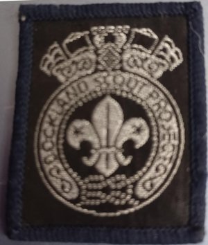 [Dockland Scout Project District Badge]