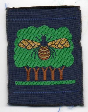[Penge & Beckenham N District Badge]